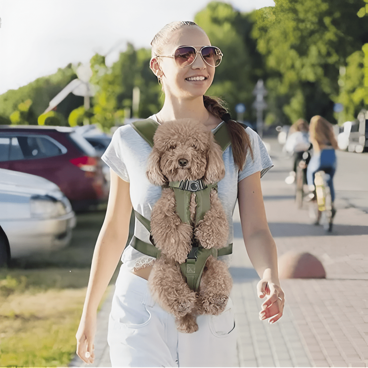 Breathable Dog Carrying Harness